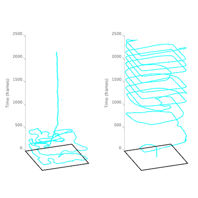 Tracking Bug Movements