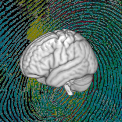 Functional Connectome Fingerprinting