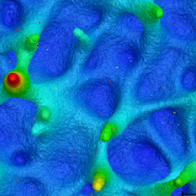 Pulse Laser Irradiation and Surface Morphology